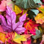Perimenopause Part 2: What Becomes Possible